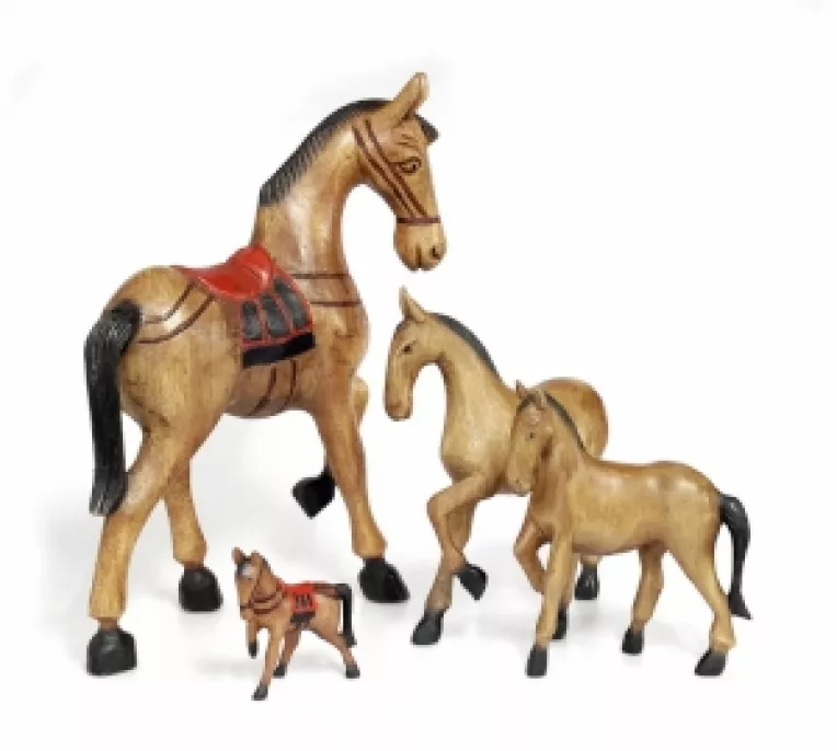 2014, Anul Calului de Lemn, sfaturi si remedii Feng Shui
