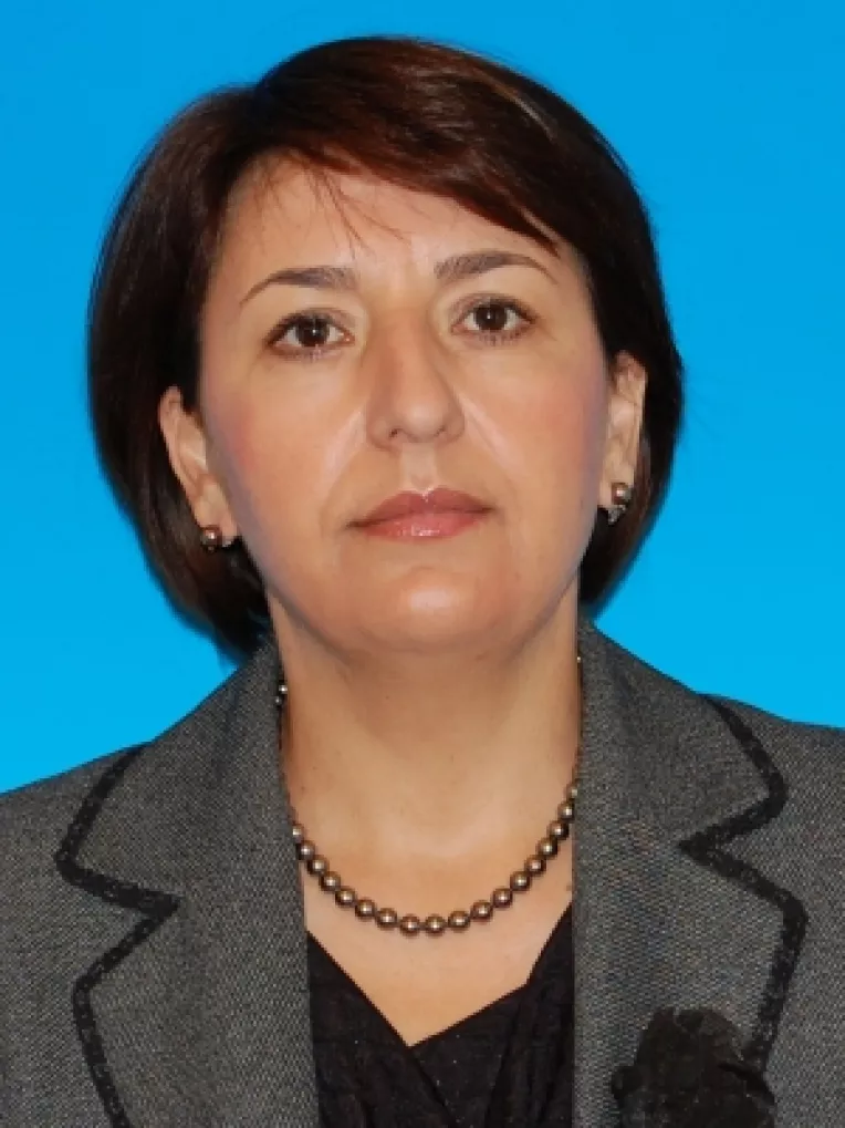 Din toamna: Plan PDL de relansare a economiei prezentat de geoloaga Sulfina Barbu, fosta ministresa a Mediului