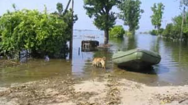 Permisul de pescuit, afacere dubioasa