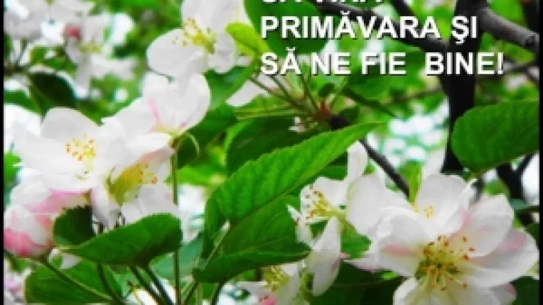 Prognoza meteo pentru perioada 27 Februarie - 12 Martie 2017, pe regiuni istorice