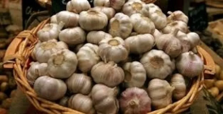 Studiu american (Journal of Nutrition): Avantajele mancatorilor de usturoi